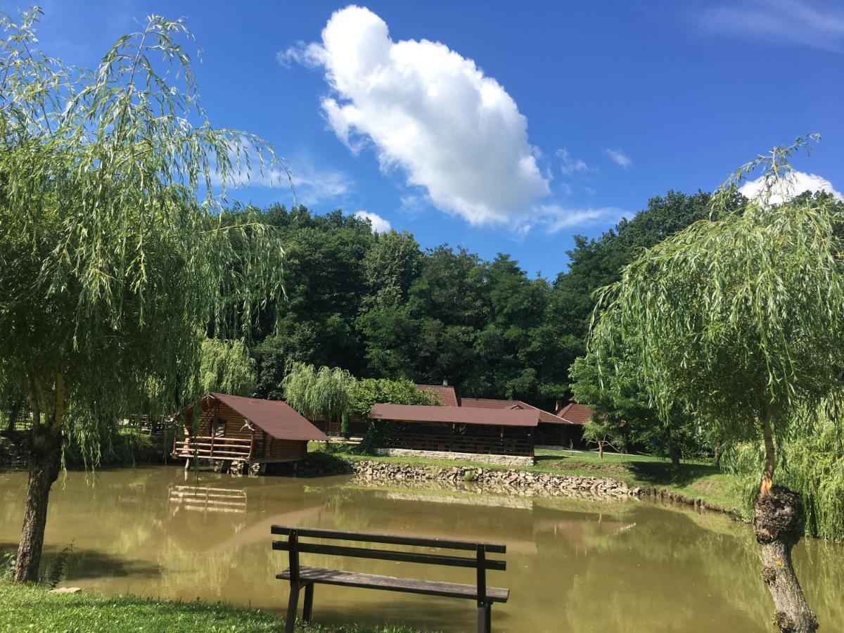 Pensiunea Paradisul Verde Oglinzi ภายนอก รูปภาพ