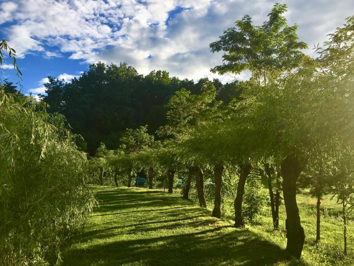 Pensiunea Paradisul Verde Oglinzi ภายนอก รูปภาพ